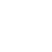 Ingir 29